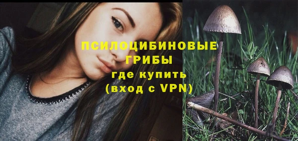 а пвп мука Няндома